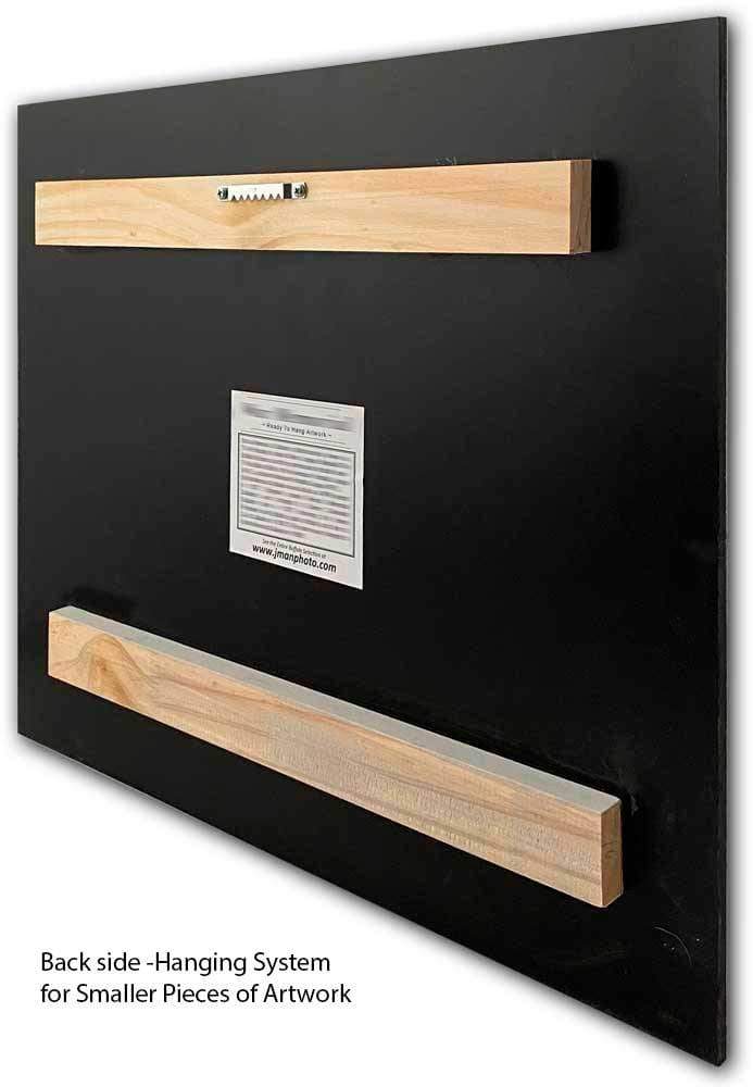 Back side hanging system for smaller Deep South Taco prints with wooden supports and sawtooth hanger. Easy wall mounting for Buffalo photo art.