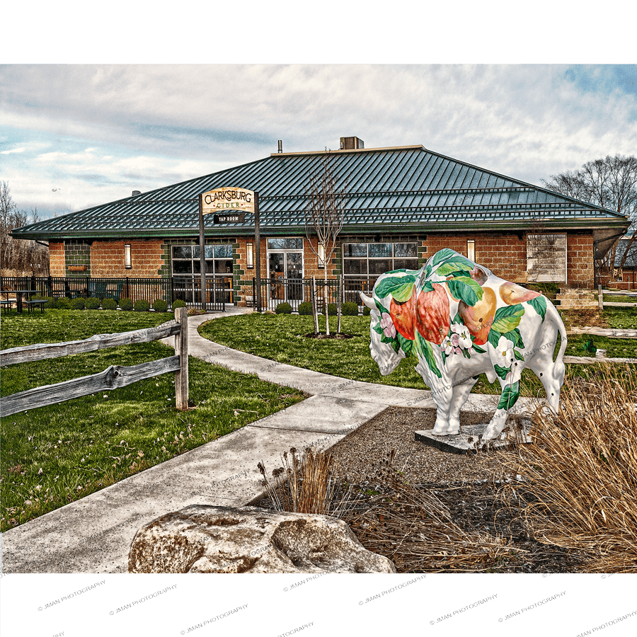 Clarksburg Cider Lancaster Photo - Clarksburg Cider NY print by Jman Photo featuring a colorful buffalo statue and rustic building in Lancaster, NY.