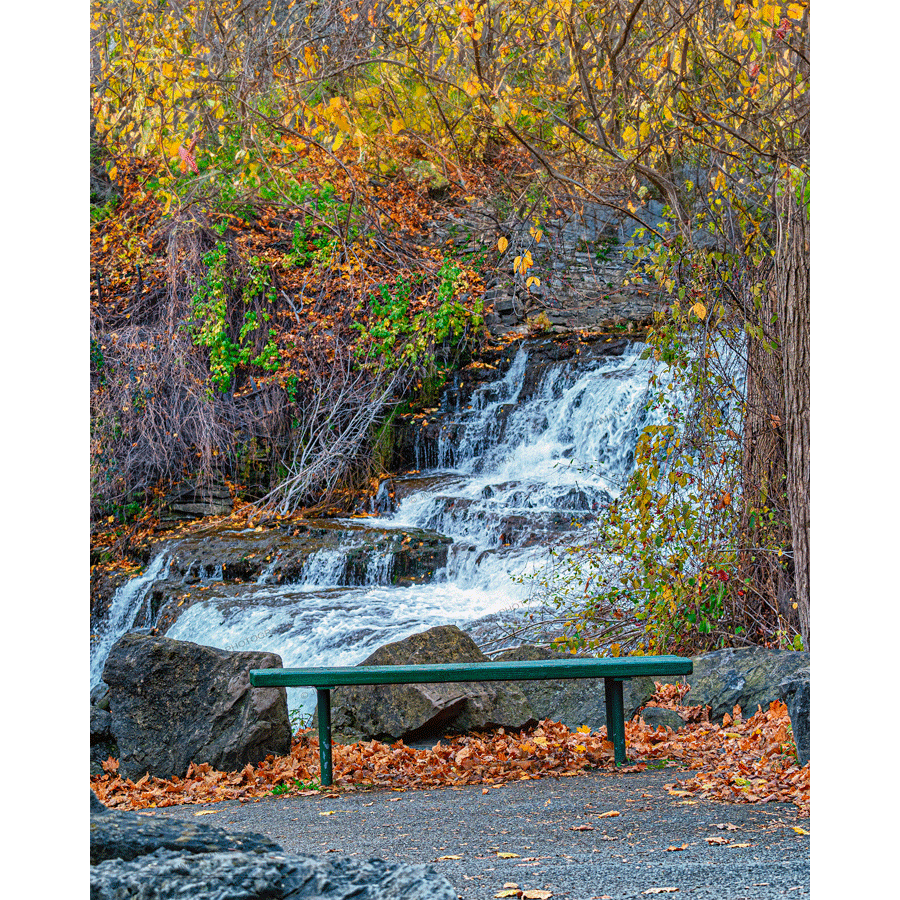 Glen Park Falls Magnet features a scenic autumn waterfall with a bench in the foreground, captured in vivid detail by Jman Photography.
