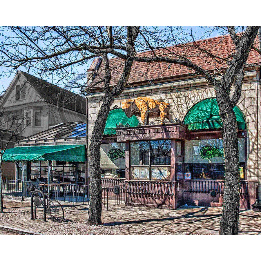 Coles Magnet - Acrylic | High-Quality Image Magnet featuring historic Buffalo landmark Coles restaurant with green awnings and rooftop buffalo statue.