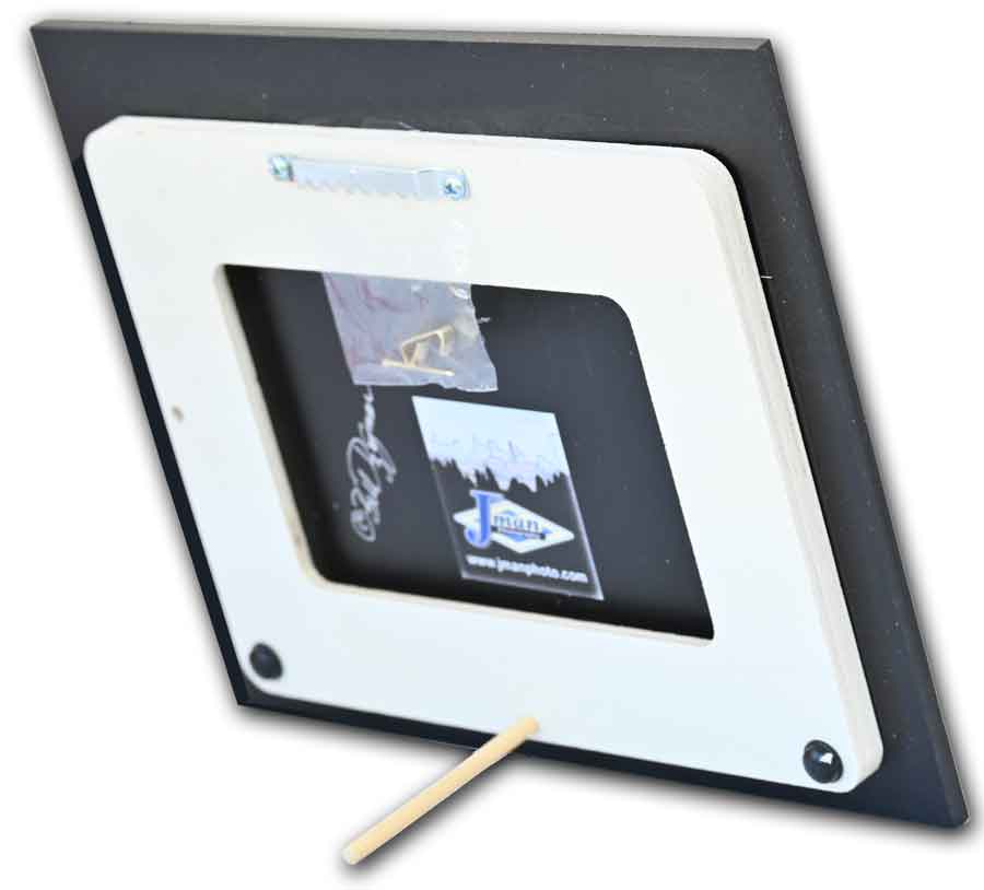 Back view of framed City Hall & McKinley Monument photo print with stand and wall mount, ready to display in home or office settings.