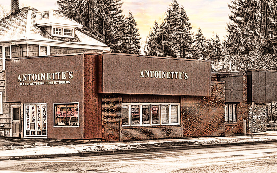 Antoinette's Ice Cream Parlor in Buffalo, NY, shown in a stylized photo print featuring the iconic red brick storefront and signage.