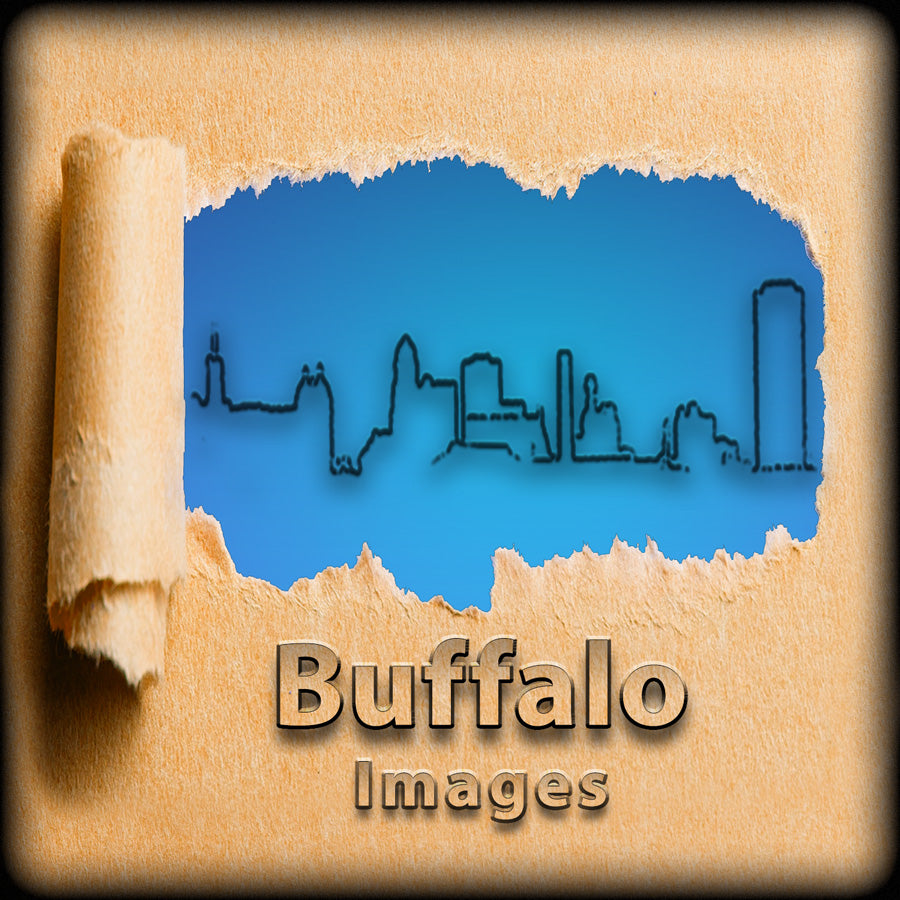 Photography of Buffalo & Western New York & Steampunk lamps - JMan Photography