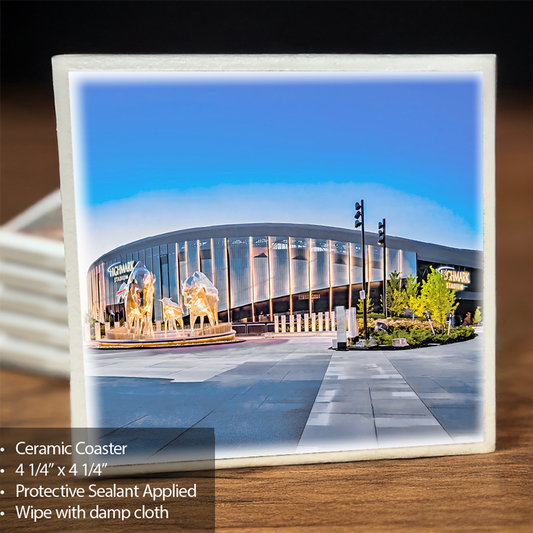 New Highmark Stadium Coaster  Orchard Park- Dusk View