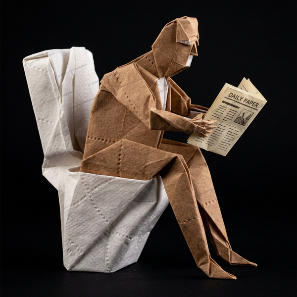 Man sitting on toilet reading newspaper - Origami Bathroom humor image