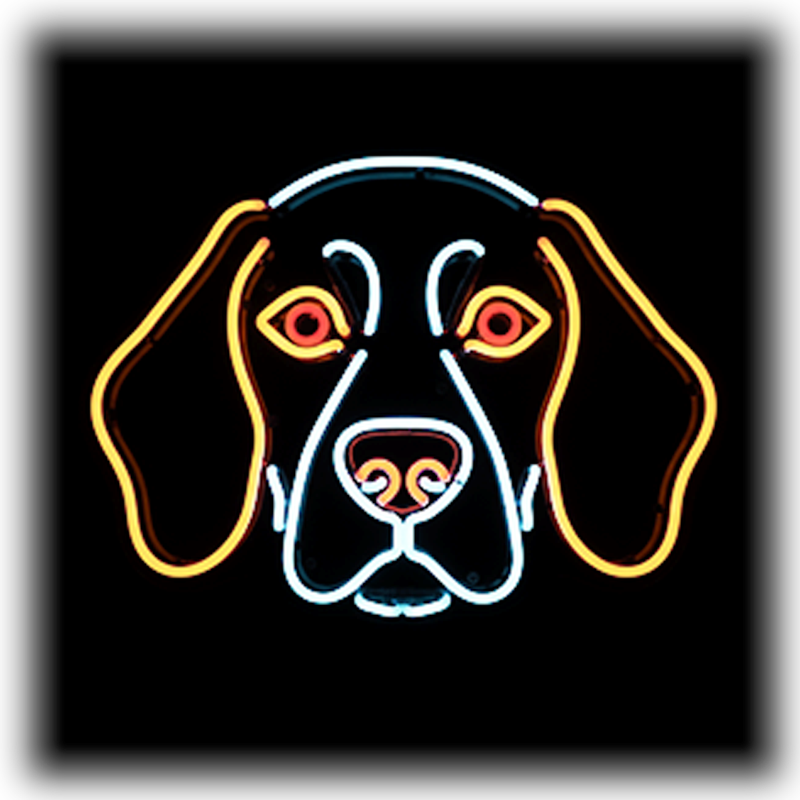 Dog Breeds