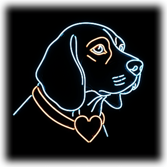 Beagle