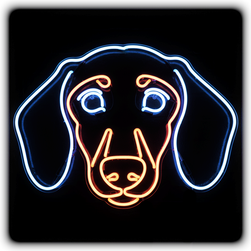 Dog Breeds