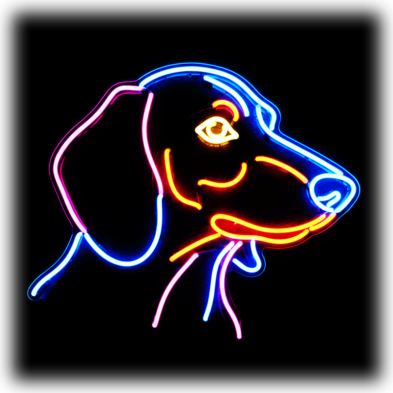 Dog Breeds