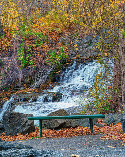 Glen Park Falls Bench