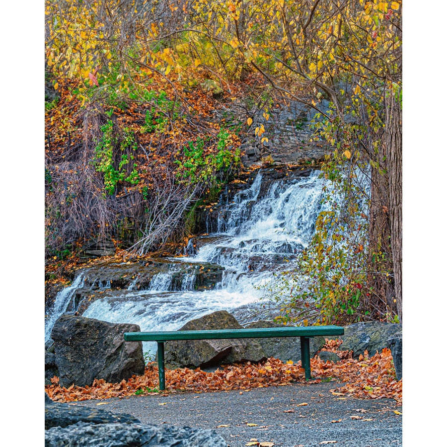 Glen Park Falls Bench Magnet