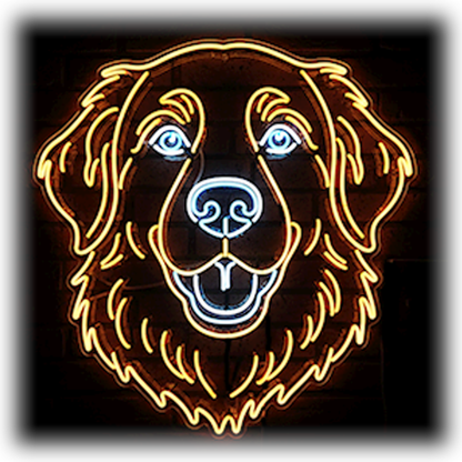 Dog Breeds