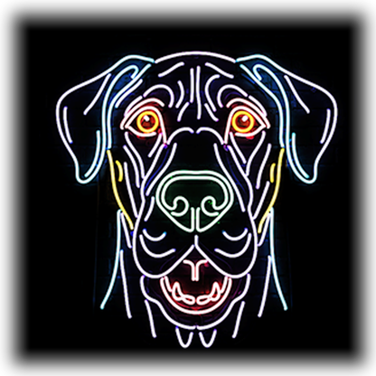Dog Breeds