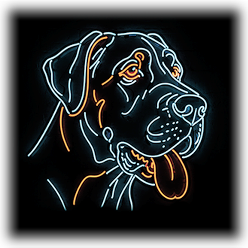 Dog Breeds