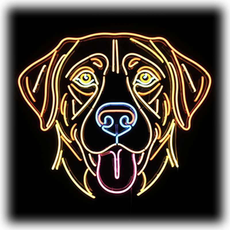 Dog Breeds