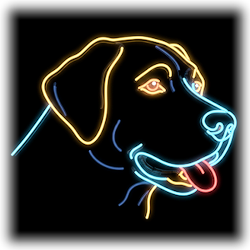 Dog Breeds