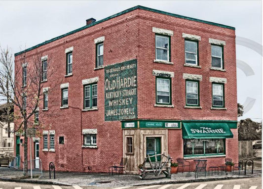 Swannie House: A Landmark of Buffalo's Heritage
