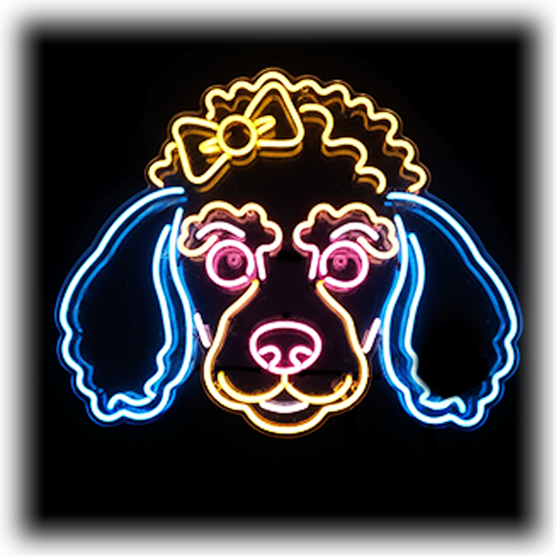 Dog Breeds