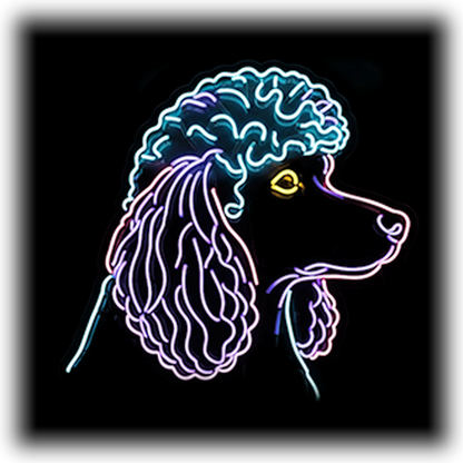 Dog Breeds