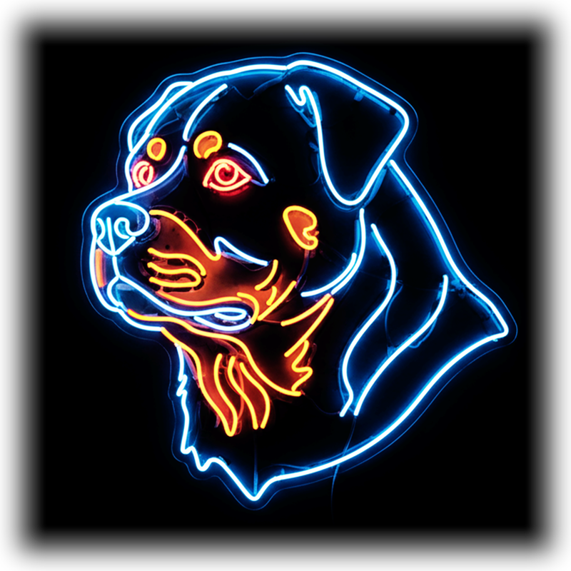 Dog Breeds