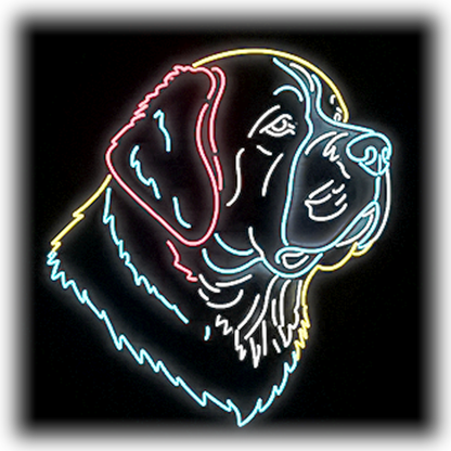 Dog Breeds