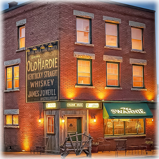 Swannie House Ceramic Coaster from JMan Photography