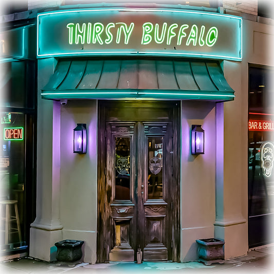 Thursty Buffalo Photo Ceramic Coaster