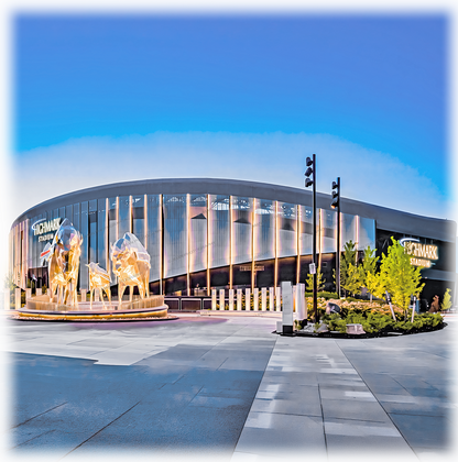 New Highmark Stadium Coaster  Orchard Park- Dusk View