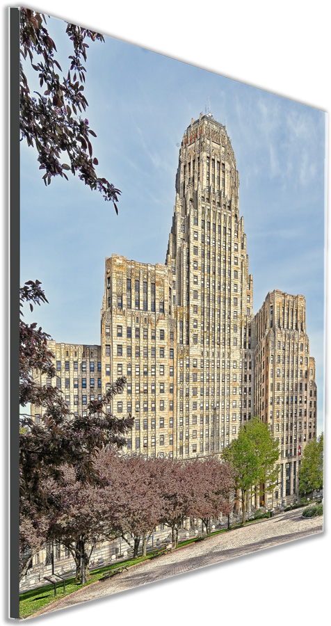 City Hall springtime