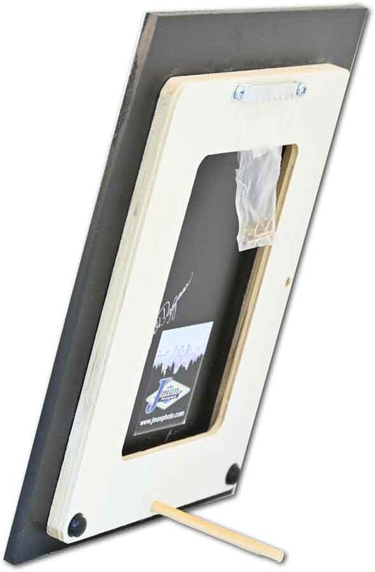 Back view of framed His and Hers Outhouse artwork with stand and wall mount options, perfect for home and garden decorative display.