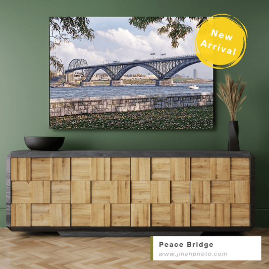 Peace Bridge WNY jmanphoto Buffalo New York Photograph Image